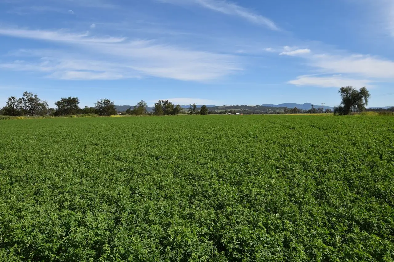 Main view of Homely rural property listing, 220 Middlebrook Road, Scone NSW 2337