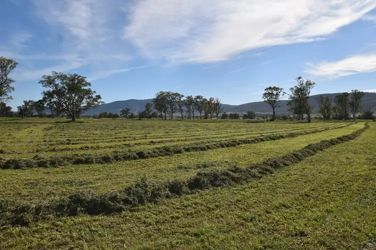 Sixth view of Homely rural property listing, 220 Middlebrook Road, Scone NSW 2337