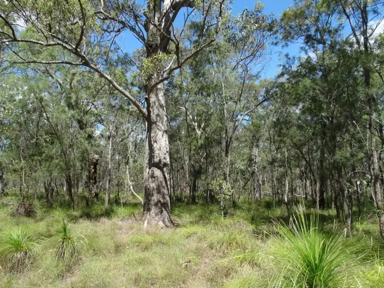 Second view of Homely rural property listing, Lot 177 Oceanna Drive, Deepwater QLD 4674