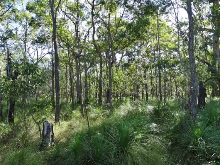 Sixth view of Homely rural property listing, 806 Capricornia Drive, Deepwater QLD 4674
