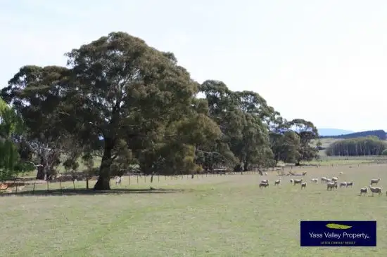 Second view of Homely rural property listing, 416 Bush's Lane "Springfield", Murrumbateman NSW 2582