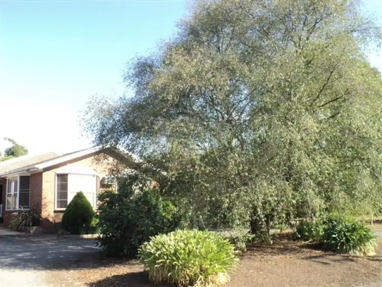 Second view of Homely house listing, 235-241 Hensley Park Road, Hamilton VIC 3300