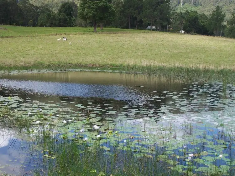 Second view of Homely rural property listing, 319 Candoormakh Creek Road, Nabiac NSW 2312