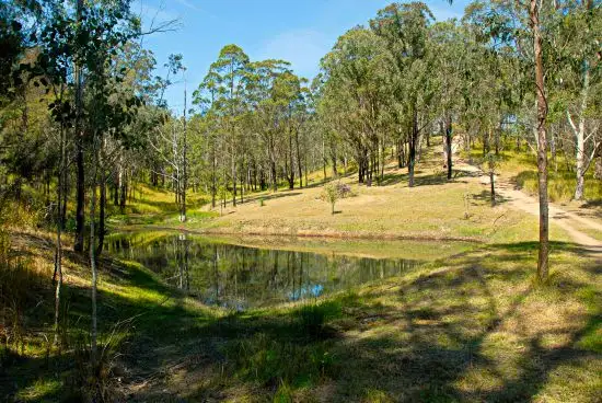 Fifth view of Homely rural property listing, 1021e Long Gully Rd, Drake NSW 2469