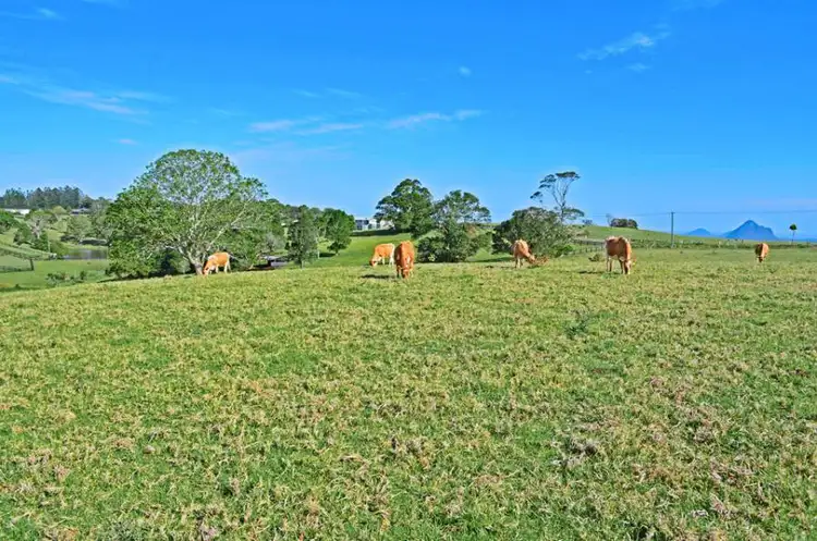 Seventh view of Homely land listing, 328-364 Mountain View Road, Maleny QLD 4552