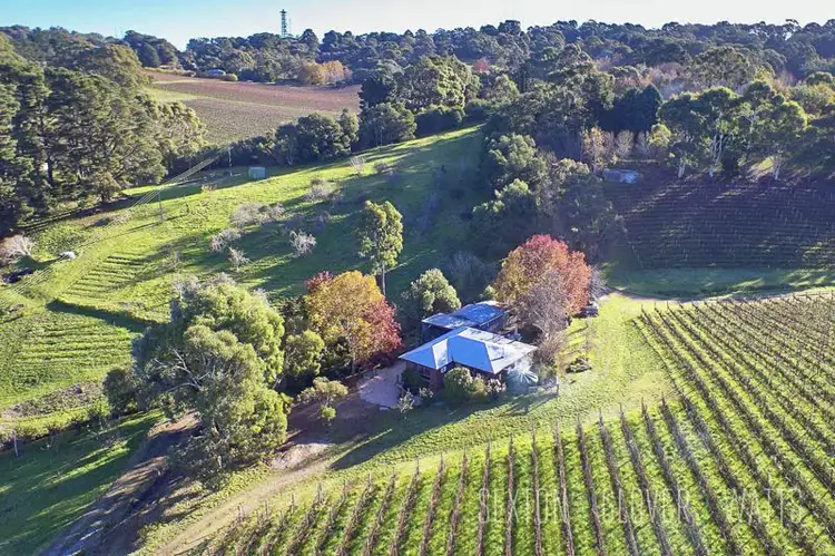Main view of Homely house listing, 91 Tregarthen Road, Summertown SA 5141