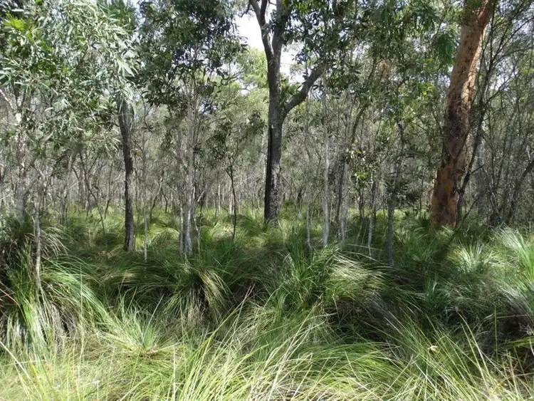 Main view of Homely rural property listing, Lot 23 Dale Drive, Rules Beach QLD 4674