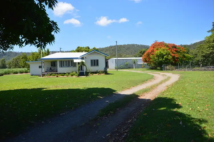 Main view of Homely rural property listing, 423 Lucas Paddock Road, Pinnacle QLD 4741