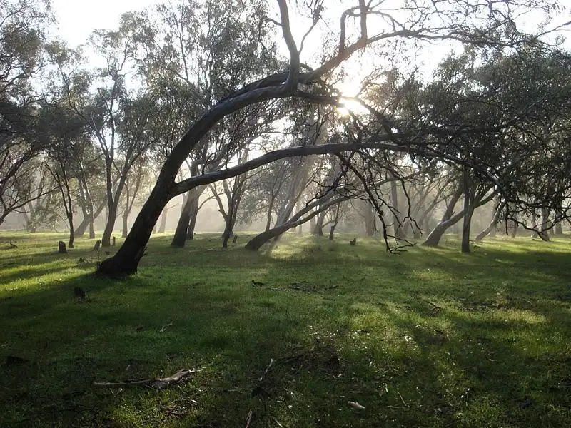 Main view of Homely rural property listing, 855 Ashbourne Rd, Strathalbyn SA 5255