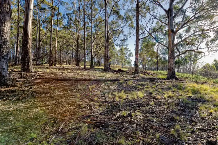 Seventh view of Homely land listing, Lot 1 Rabbit Hill Road, Colebrook TAS 7027