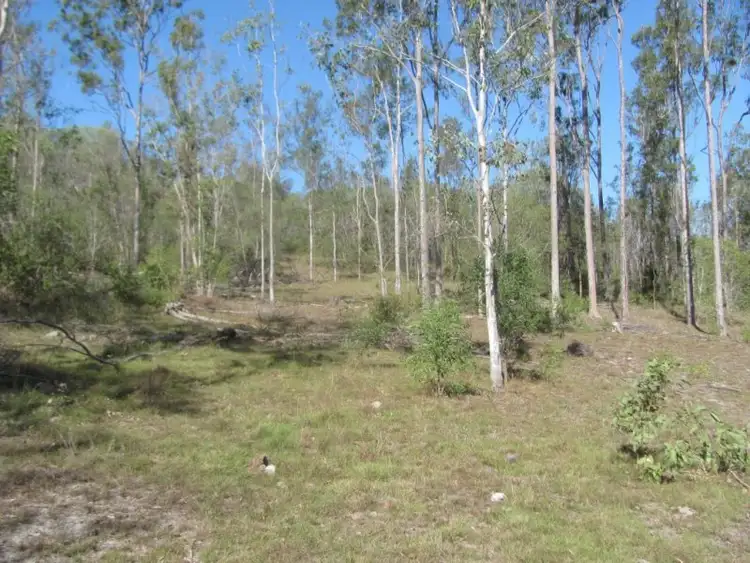 Third view of Homely rural property listing, Lot 4 Mt Bucca Road, Yandaran QLD 4673