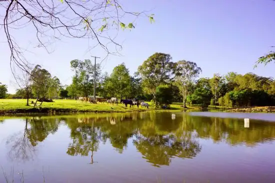 Main view of Homely rural property listing, Address available on request