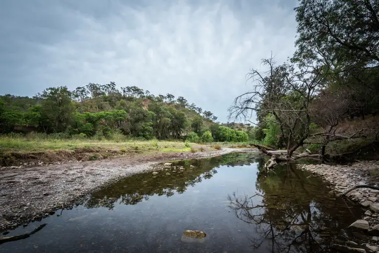 Seventh view of Homely rural property listing, 1353 Gundy Road, Scone NSW 2337