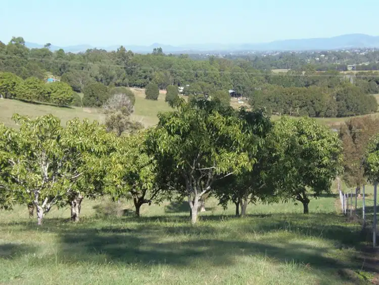 Third view of Homely land listing, 115 Grecian Bends Road, Greens Creek QLD 4570