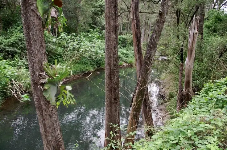 Sixth view of Homely rural property listing, Address available on request