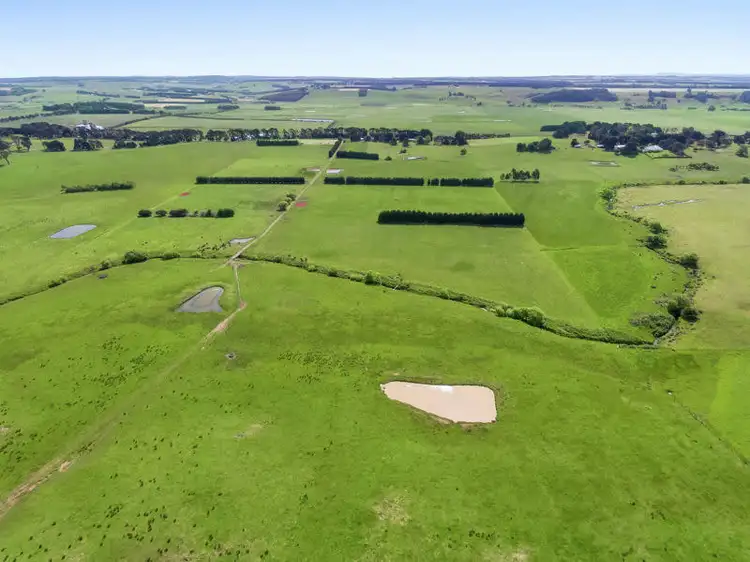 Fourth view of Homely rural property listing, 425 Birregurra-Forrest Road, Birregurra VIC 3242