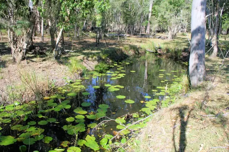 Seventh view of Homely rural property listing, 4538 Orara Way, Lanitza NSW 2460