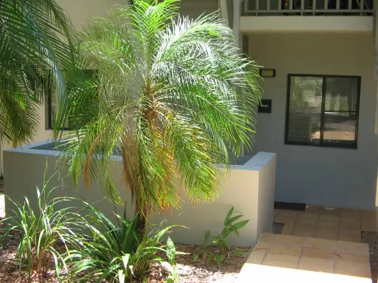 Third view of Homely unit listing, 1440 CASCADE CONDOMINIUMS, Laguna Quays QLD 4800