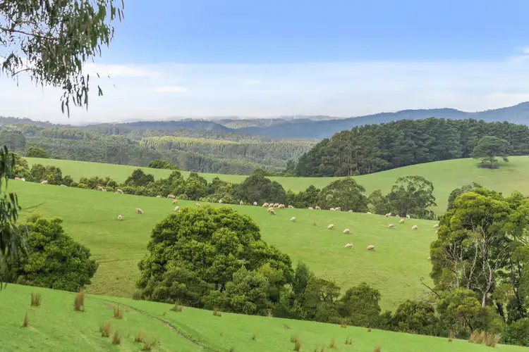 Main view of Homely rural property listing, 3935 Lot 3 Great Ocean Road, Johanna VIC 3238