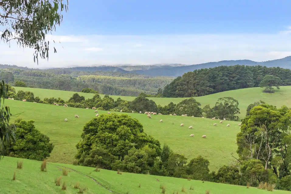 Main view of Homely rural property listing, 3935 Lot 3 Great Ocean Road, Johanna VIC 3238