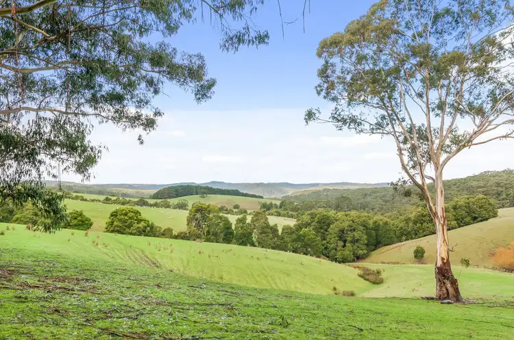 Fourth view of Homely rural property listing, 3935 Lot 3 Great Ocean Road, Johanna VIC 3238