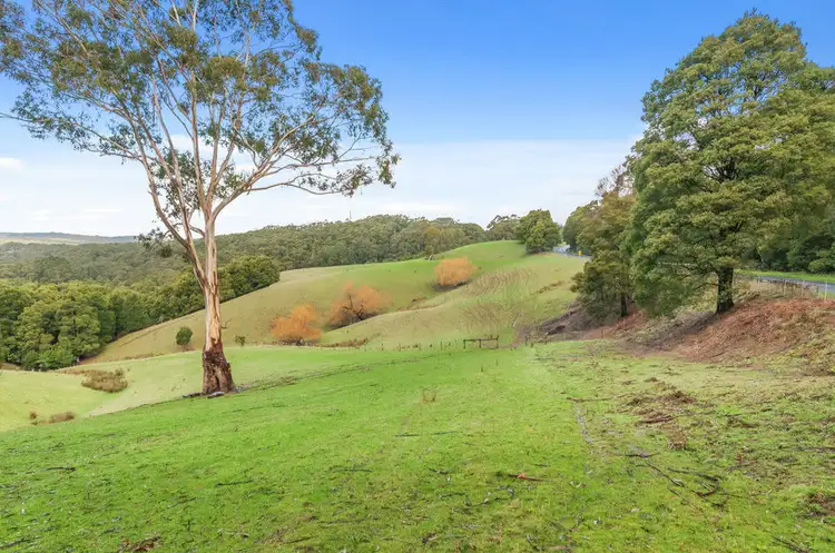 Fifth view of Homely rural property listing, 3935 Lot 3 Great Ocean Road, Johanna VIC 3238