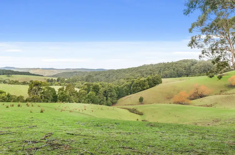 Sixth view of Homely rural property listing, 3935 Lot 3 Great Ocean Road, Johanna VIC 3238