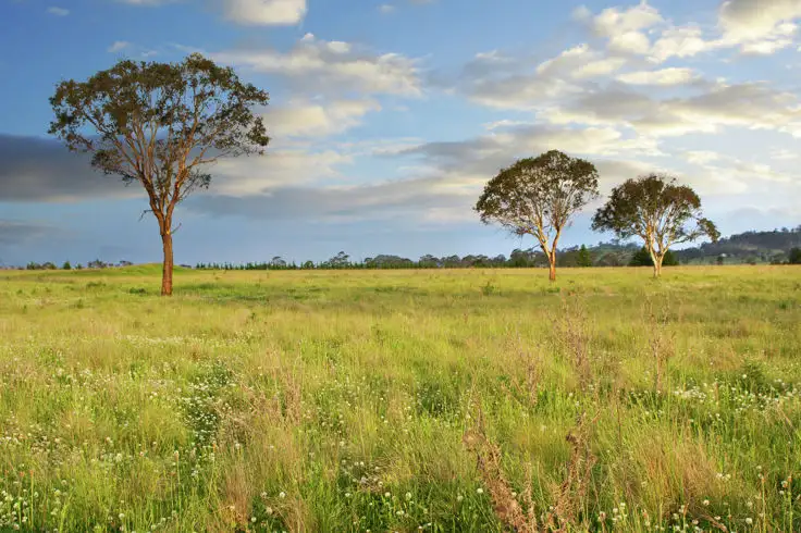 Fourth view of Homely land listing, Lot 404 Old Gostwyck Park Estate, Armidale NSW 2350