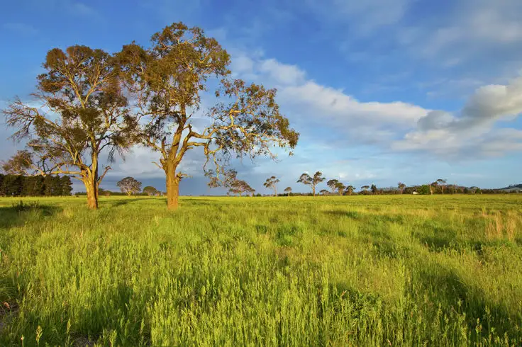Second view of Homely land listing, Lot 403 Old Gostwyck Park Estate, Armidale NSW 2350