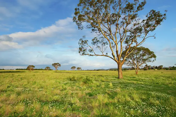 Fifth view of Homely land listing, Lot 403 Old Gostwyck Park Estate, Armidale NSW 2350