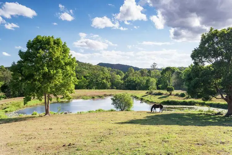 Second view of Homely house listing, 41 Colemans Road, Yandina QLD 4561