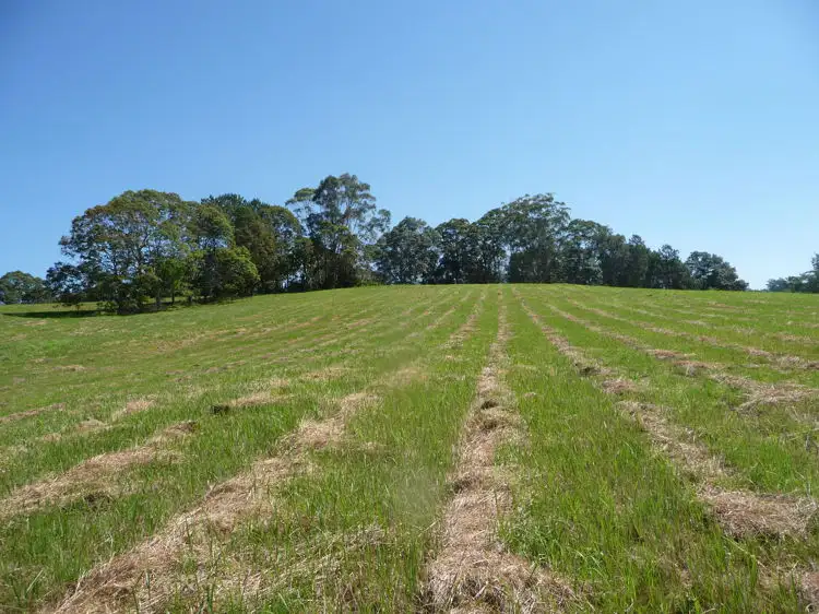Second view of Homely rural property listing, 81 Pringle Road, Rosemount QLD 4560