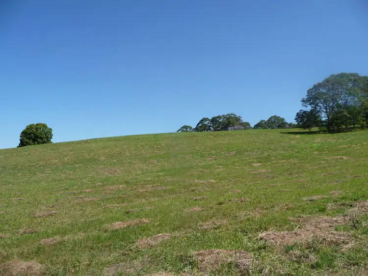 Third view of Homely rural property listing, 81 Pringle Road, Rosemount QLD 4560