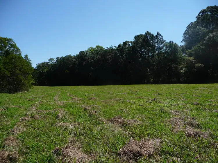 Fourth view of Homely rural property listing, 81 Pringle Road, Rosemount QLD 4560
