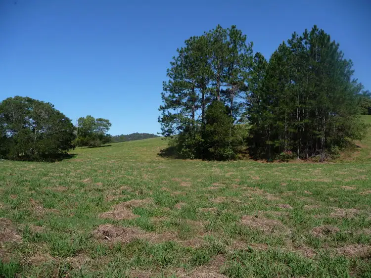 Fifth view of Homely rural property listing, 81 Pringle Road, Rosemount QLD 4560