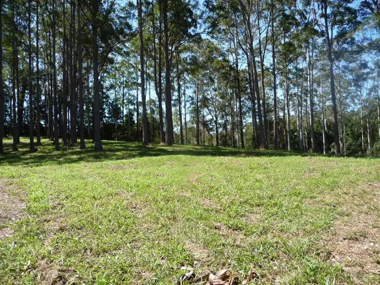 Seventh view of Homely rural property listing, 81 Pringle Road, Rosemount QLD 4560
