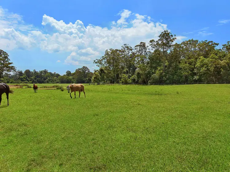 Sixth view of Homely house listing, 105 Yarramalong Road, Wyong Creek NSW 2259