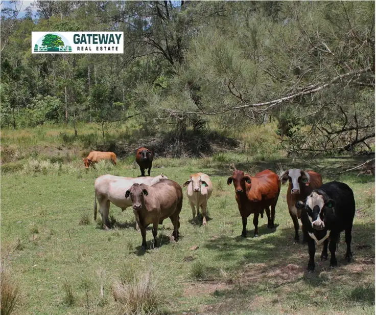 Main view of Homely rural property listing, Smiths Creek Road, Kyogle NSW 2474