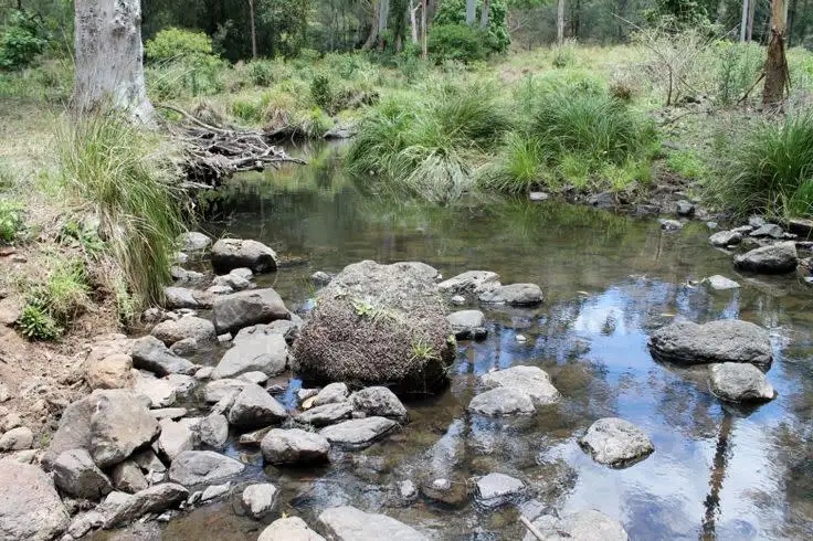 Second view of Homely rural property listing, Smiths Creek Road, Kyogle NSW 2474