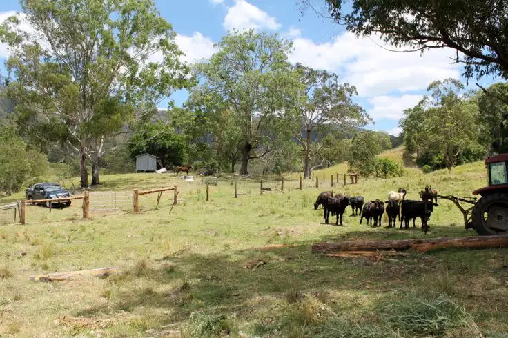 Sixth view of Homely rural property listing, Smiths Creek Road, Kyogle NSW 2474