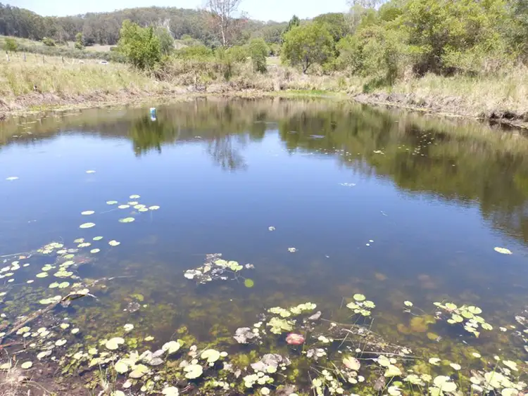 Second view of Homely rural property listing, 872 Tagigan Road, Wolvi QLD 4570