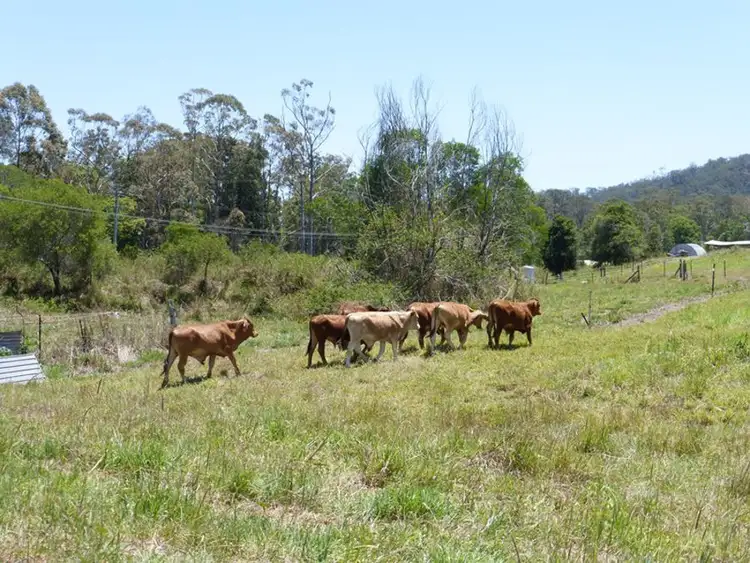Fifth view of Homely rural property listing, 872 Tagigan Road, Wolvi QLD 4570