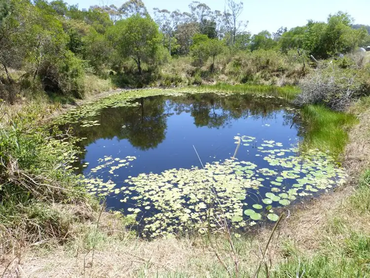 Seventh view of Homely rural property listing, 872 Tagigan Road, Wolvi QLD 4570