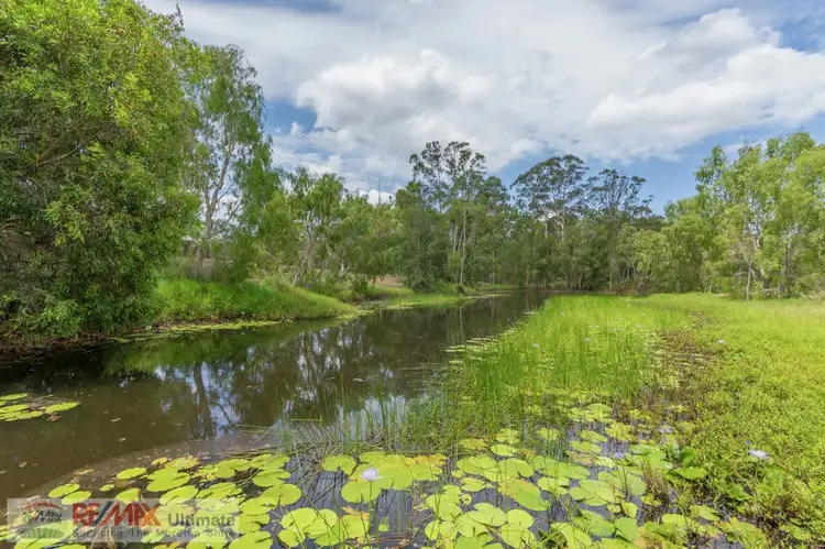 Sixth view of Homely land listing, 205-207 Alexandra Parade, Wamuran QLD 4512