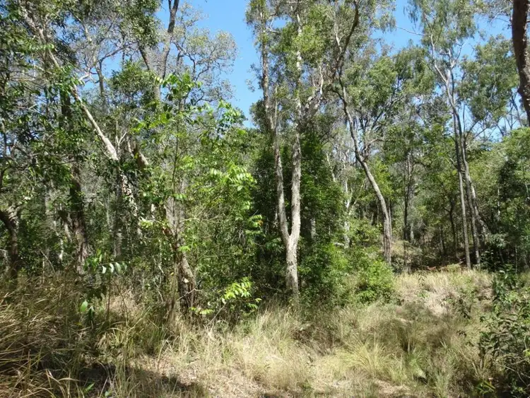 Third view of Homely rural property listing, 90 Bald Rock Road, Berajondo QLD 4674