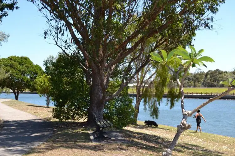 Fifth view of Homely villa listing, 69/8 Longwood Street, Minyama QLD 4575