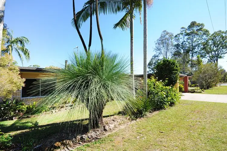 Second view of Homely house listing, 55 Isabella Avenue, Nambour QLD 4560