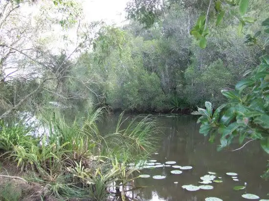 Seventh view of Homely rural property listing, Address available on request
