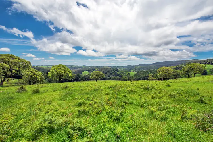 Lot 147 Redlands Road, Hernani, Dorrigo NSW 2453