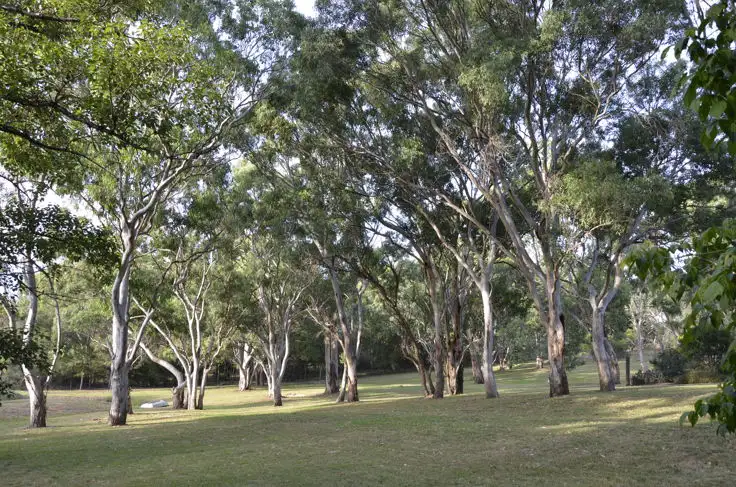 Sixth view of Homely land listing, 14 Lynches Road, Armidale NSW 2350